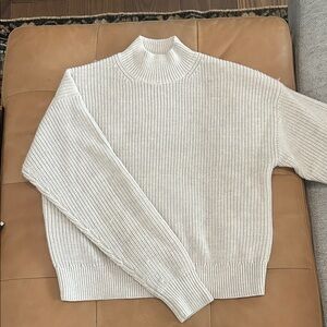 Wilfred oatmeal wool turtle neck sweater